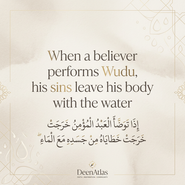 Hadith quote about purification and wudu